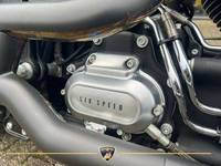 Harley-Davidson Fat Boy Lo FLSTFB thumbnail 10